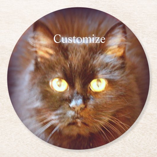 Black Cat Thunder_Cove Runder Pappuntersetzer (Vorderseite)