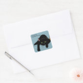 Black Cat Tired Blue Funny Quadratischer Aufkleber (Umschlag)