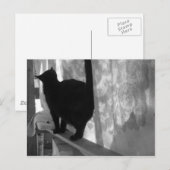 Black Cat Walks weg - Postkarte (Vorne/Hinten)
