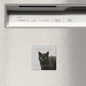 Black Cat Watching Magnet (In Situ (Geschirrspüler))