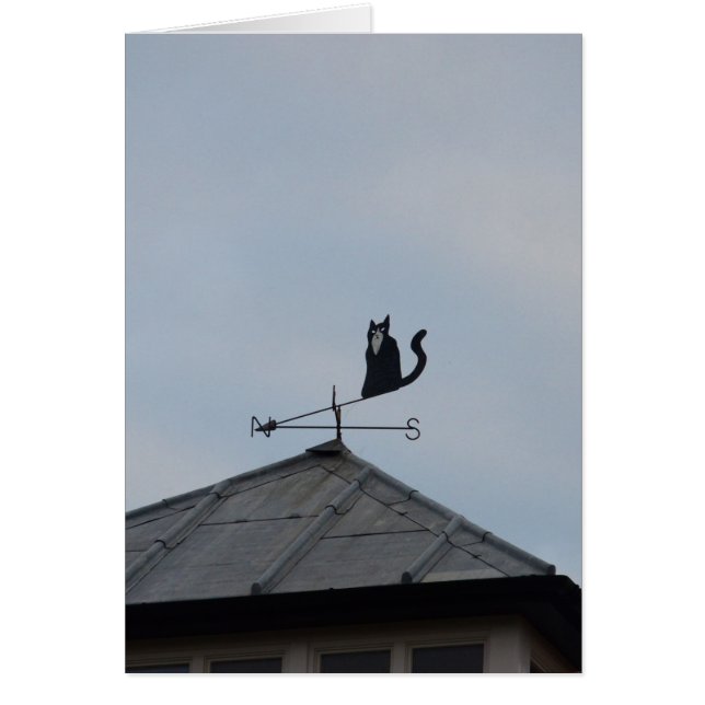 Black Cat Weather Vane (Vorne)