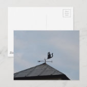 Black Cat Weather Vane Postkarte (Vorne/Hinten)
