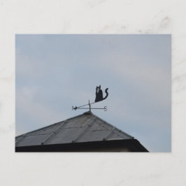 Black Cat Weather Vane Postkarte