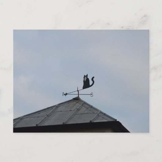 Black Cat Weather Vane Postkarte (Vorderseite)
