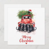 Black Cat Weihnachten für Katzen Liebhaber (Vorne/Hinten)