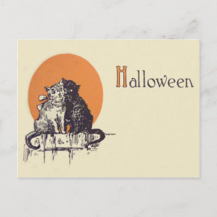 Black Cat White Cat Vollmond Romantik Postkarte