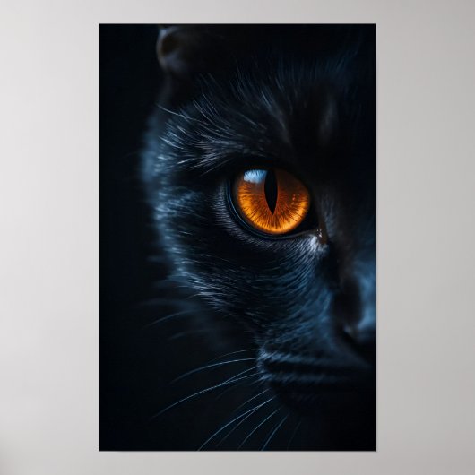 Black Cat with Amber Eye Poster (Vorne)