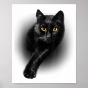 Black Cat Yellow Eyes T - Shirt Cats T-Shirt Poster