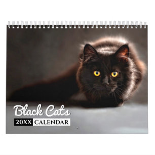 Black Cats 2022 Foto Wall Calendar Kalender