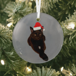 Black Cat's Foto Cutout mit Weihnachtsmannmütze Gr Ornament Aus Glas