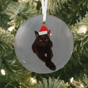 Black Cat's Foto Cutout mit Weihnachtsmannmütze Gr Ornament Aus Glas