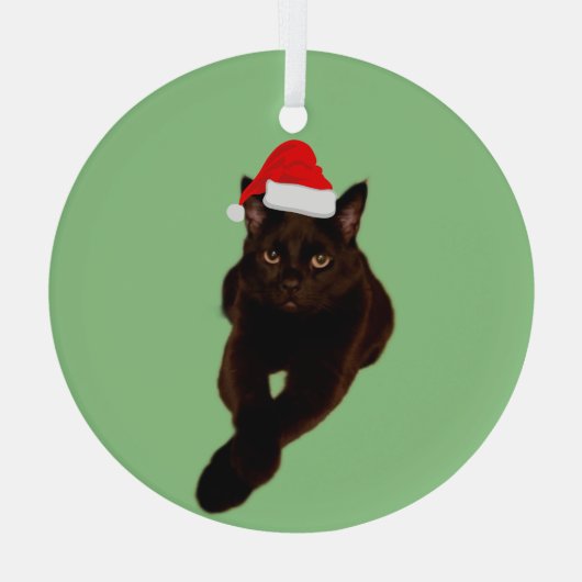 Black Cat's Foto Cutout mit Weihnachtsmannmütze Gr Ornament Aus Glas (Rückseite)