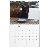 Black Cats & Kittens Niedlich Kitty Cat 2020 Kalender (Feb 2027)