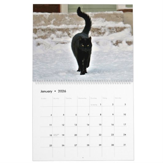 Black Cats & Kittens Niedlich Kitty Cat 2020 Kalender (Jan 2026)