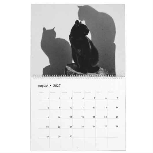 Black Cats & Kittens Niedlich Kitty Cat 2020 Kalender (Aug 2027)