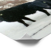 Black Cattle in Snow Poster (Ecke)
