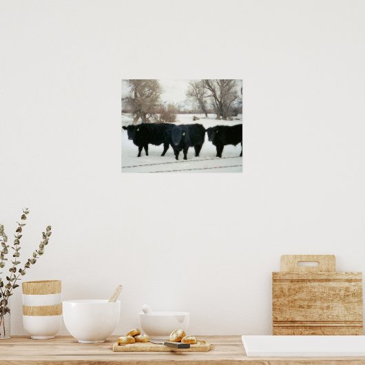 Black Cattle in Snow Poster (Küche)