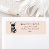 Black Chihuahua Dog-Adresse (Insitu)