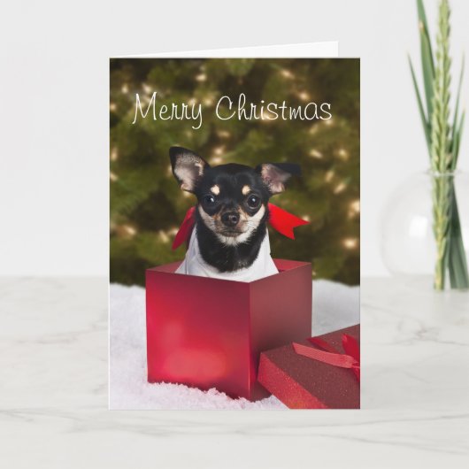 Black Chihuahua Weihnachtskarte Feiertagskarte (Vorderseite)