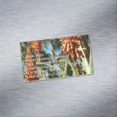 Black-Chinned Hummingbird in Flight Magnetische Visitenkarte (Beispiel)