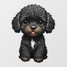Black Cockapoo