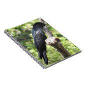 Black Cockatoo-Notebook Notizblock (Rechte Seite)