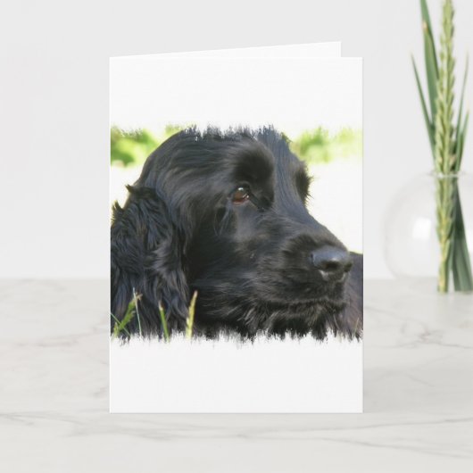 Black Cocker Spaniel Dog Grußkarte Karte (Vorderseite)