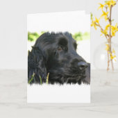 Black Cocker Spaniel Dog Grußkarte Karte (Gelbe Blume)