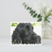Black Cocker Spaniel Hund Postkarte (Stehend Vorderseite)