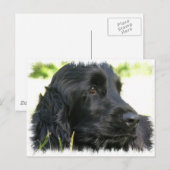 Black Cocker Spaniel Hund Postkarte (Vorne/Hinten)