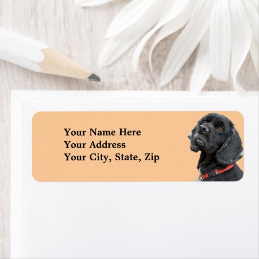 Black Cocker Spanisch Label (Insitu)