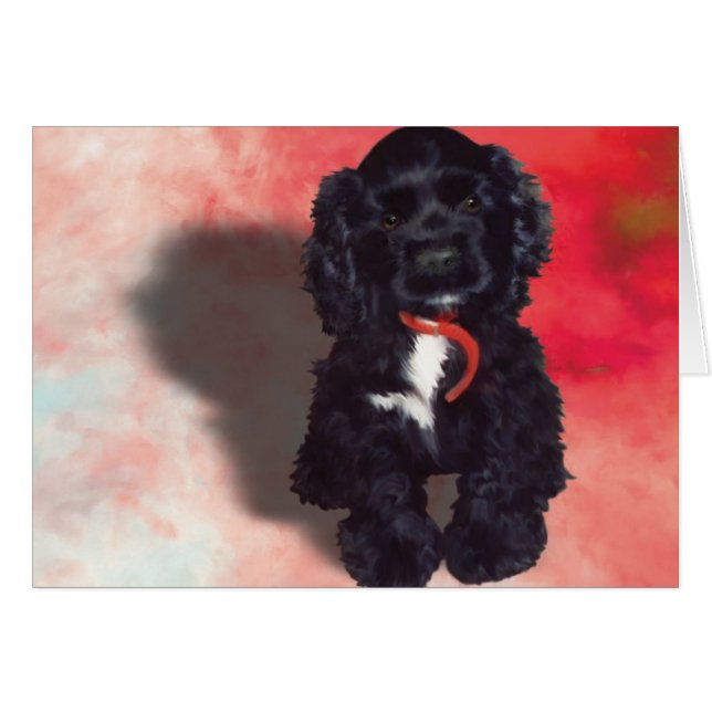 Black Cocker Spanisch Puppy - Abby (Vorderseite (Horizontal))