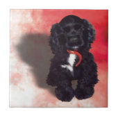 Black Cocker Spanisch Puppy - Abby Fliese (Vorderseite)