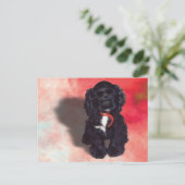Black Cocker Spanisch Puppy - Abby Postkarte (Stehend Vorderseite)