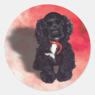Black Cocker Spanisch Puppy - Abby Runder Aufkleber