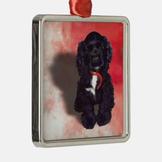 Black Cocker Spanisch Puppy - Abby Silbernes Ornament (Rechts)