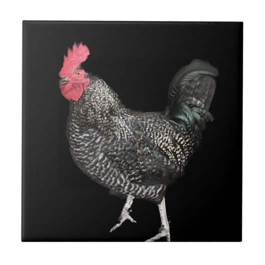 Black Cockerel No. 4 Fliese (Vorderseite)
