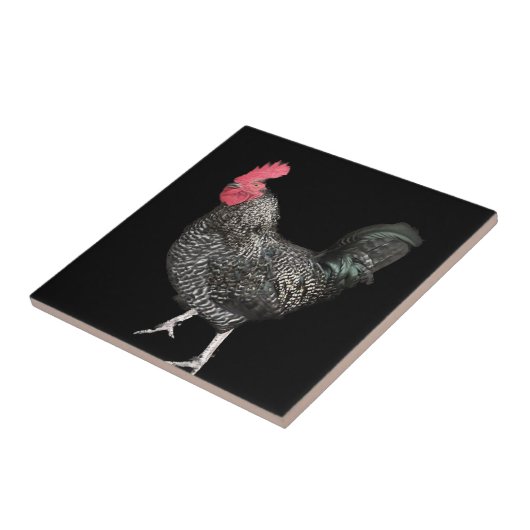 Black Cockerel No. 4 Fliese (Seite)