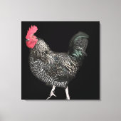 Black Cockerel No. 4 Leinwanddruck (Vorderseite)