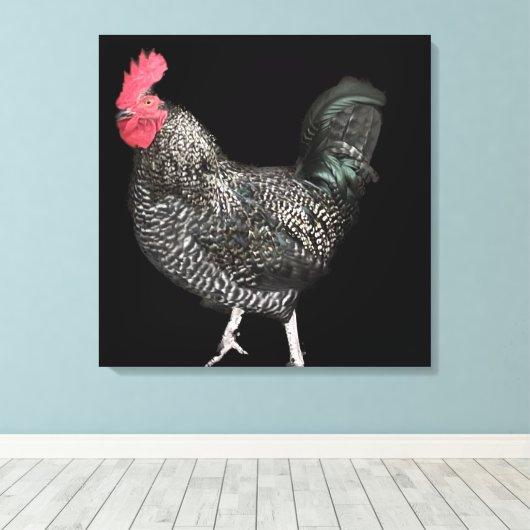 Black Cockerel No. 4 Leinwanddruck (Insitu (Holzboden))