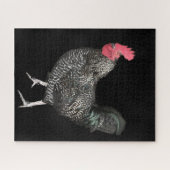 Black Cockerel No. 4 Puzzle (Horizontal)
