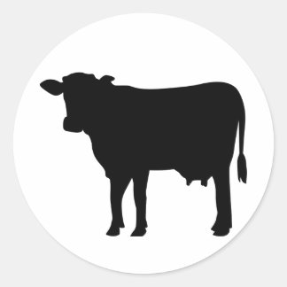 Black Cow Runder Aufkleber