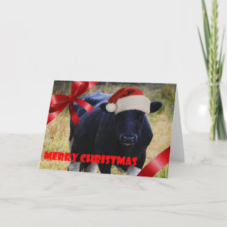 Black Cow Weihnachtskarte Feiertagskarte