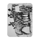 Black Cowboys in Bonham, Texas, c.1890 (b/w Foto) Magnet (Vertikal)