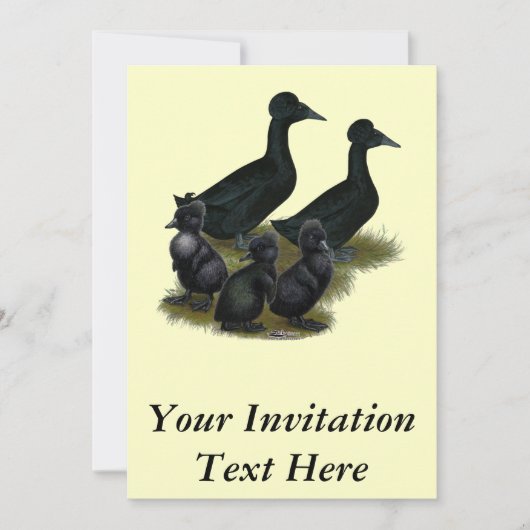 Black Crested Duck Family Einladung (Vorderseite)