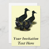 Black Crested Duck Family Einladung (Vorne/Hinten)