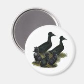Black Crested Duck Family Magnet (Vorderseite/Rückseite)