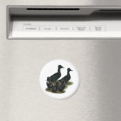 Black Crested Duck Family Magnet (In Situ (Geschirrspüler))