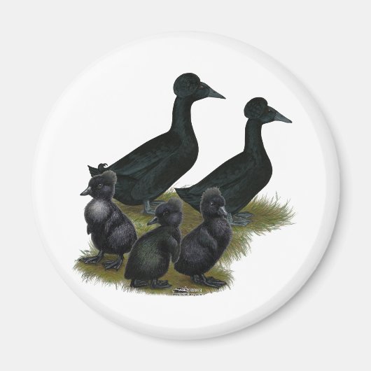 Black Crested Duck Family Magnet (Vorne)