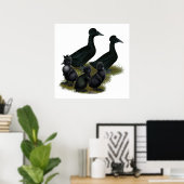 Black Crested Duck Family Poster (Heimbüro)